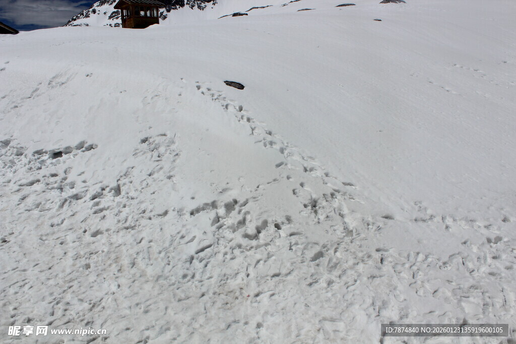 雪地中的凌乱雪痕