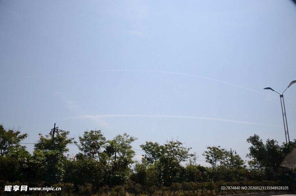 蓝天绿树旁的路灯景象