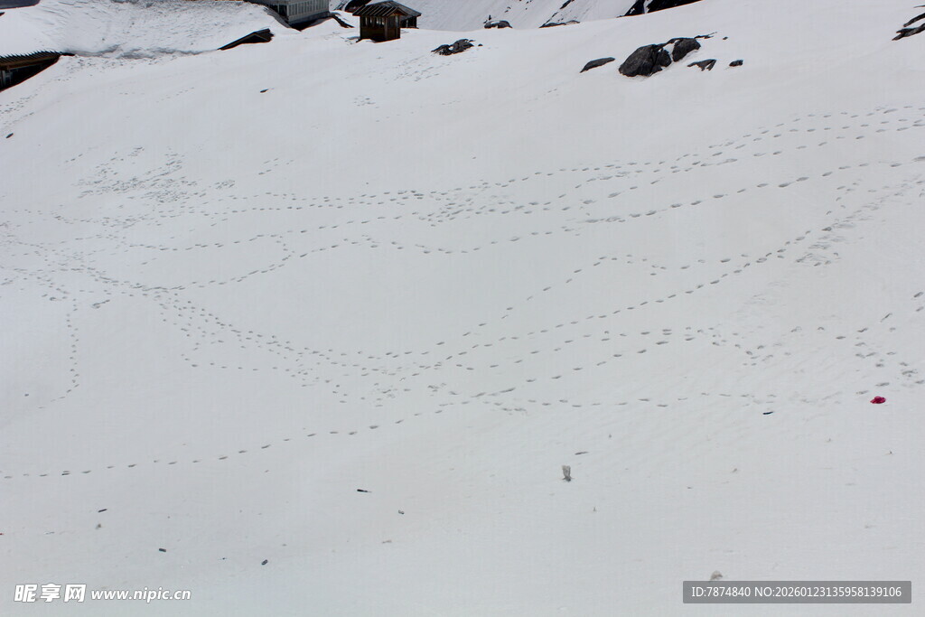雪坡上的滑雪者轨迹