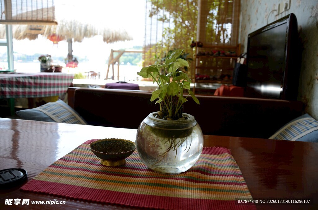 室内温馨角落绿植小景
