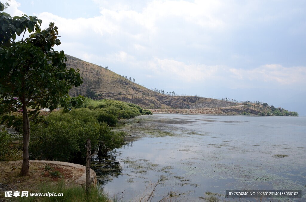 河畔自然风光美景