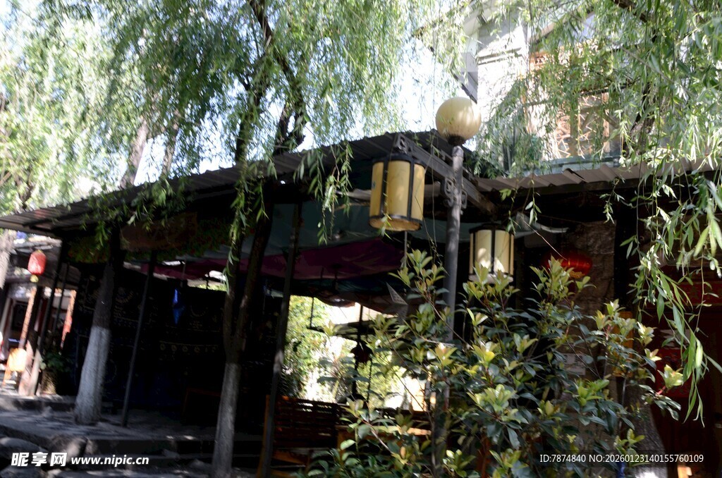 绿荫下的古朴小屋