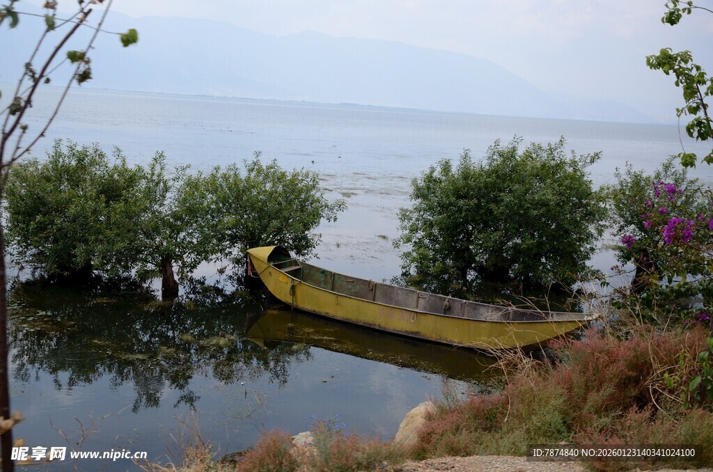 湖畔孤舟伴绿植