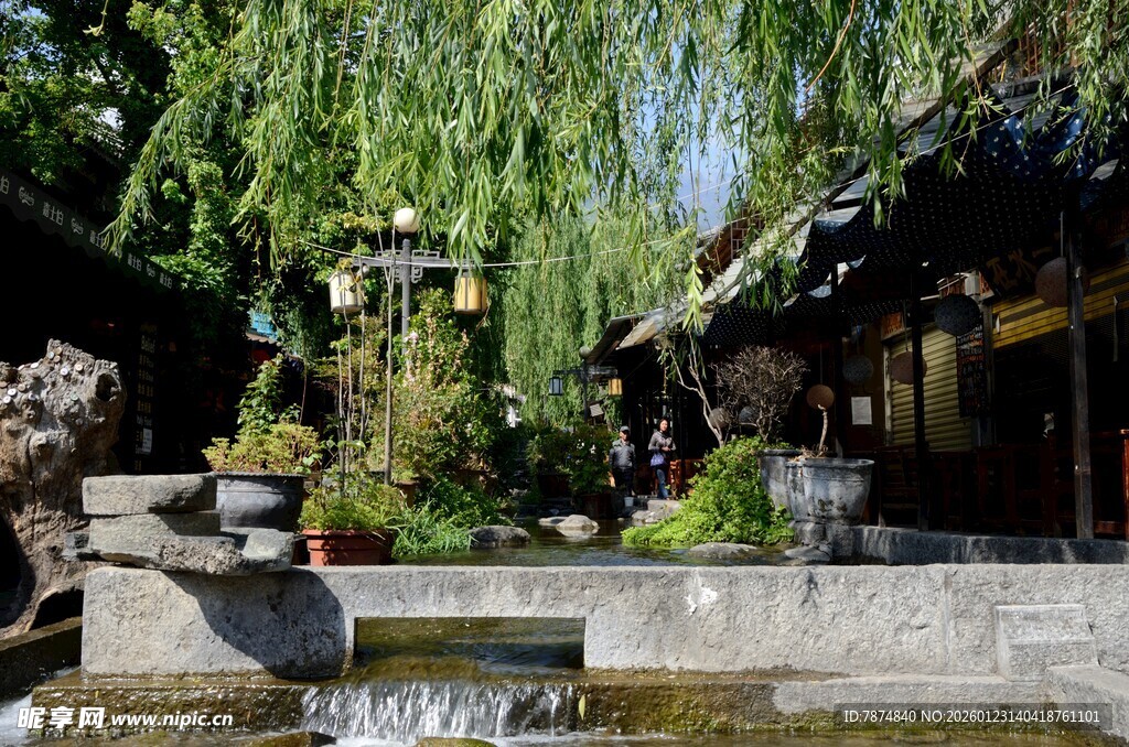 中式庭院水景 垂柳相伴