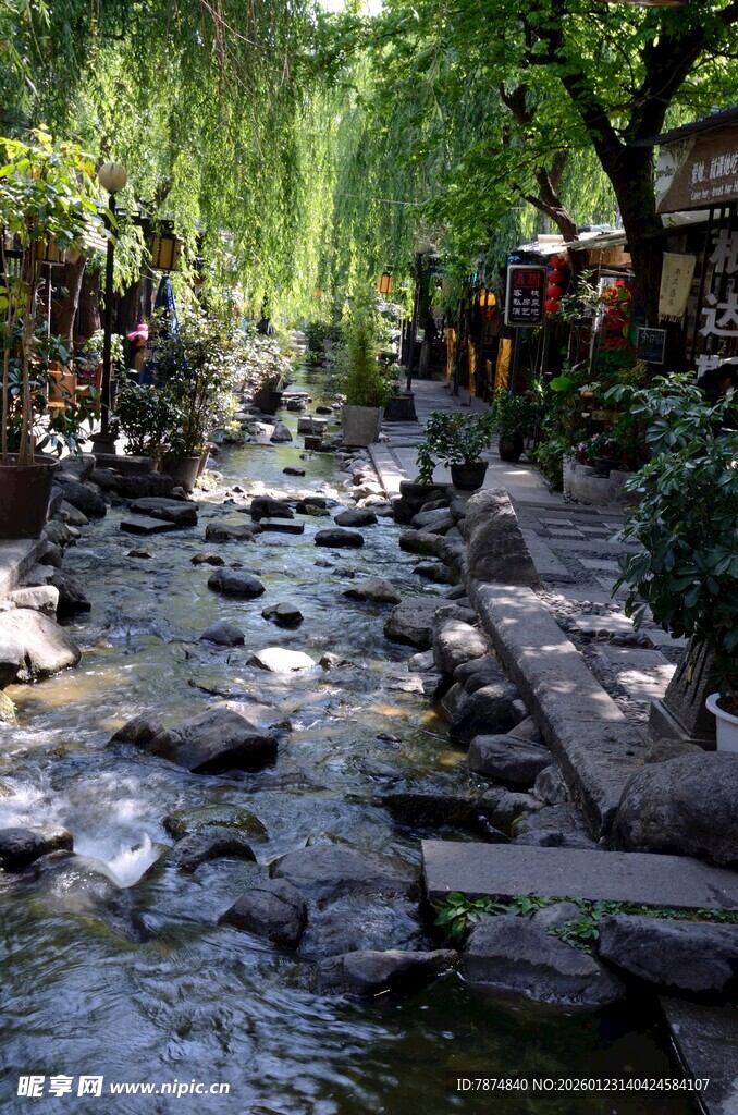 溪边幽径 自然静谧之景