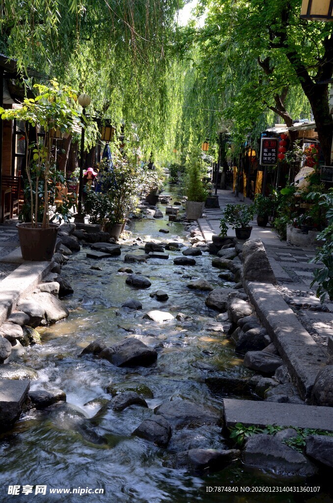 溪边石径 静谧自然景致