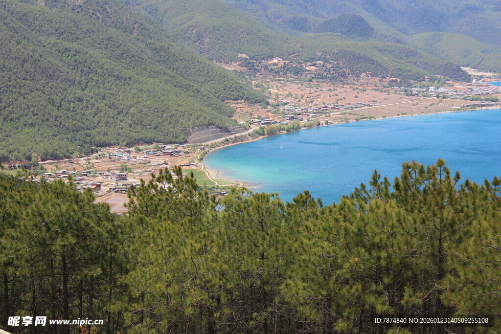 山间蓝湖旁的葱郁森林