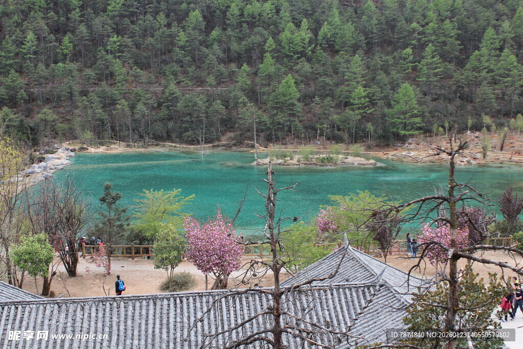 湖畔古景 青山绿水相映