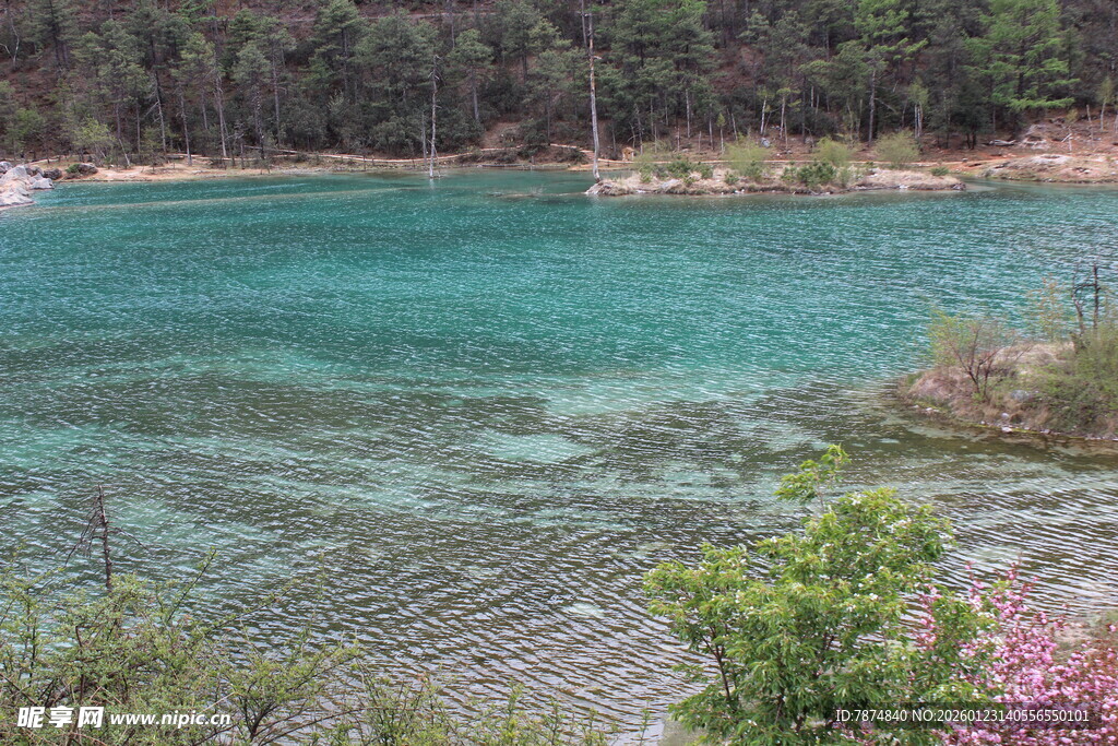 清澈蓝绿湖水畔的自然美景