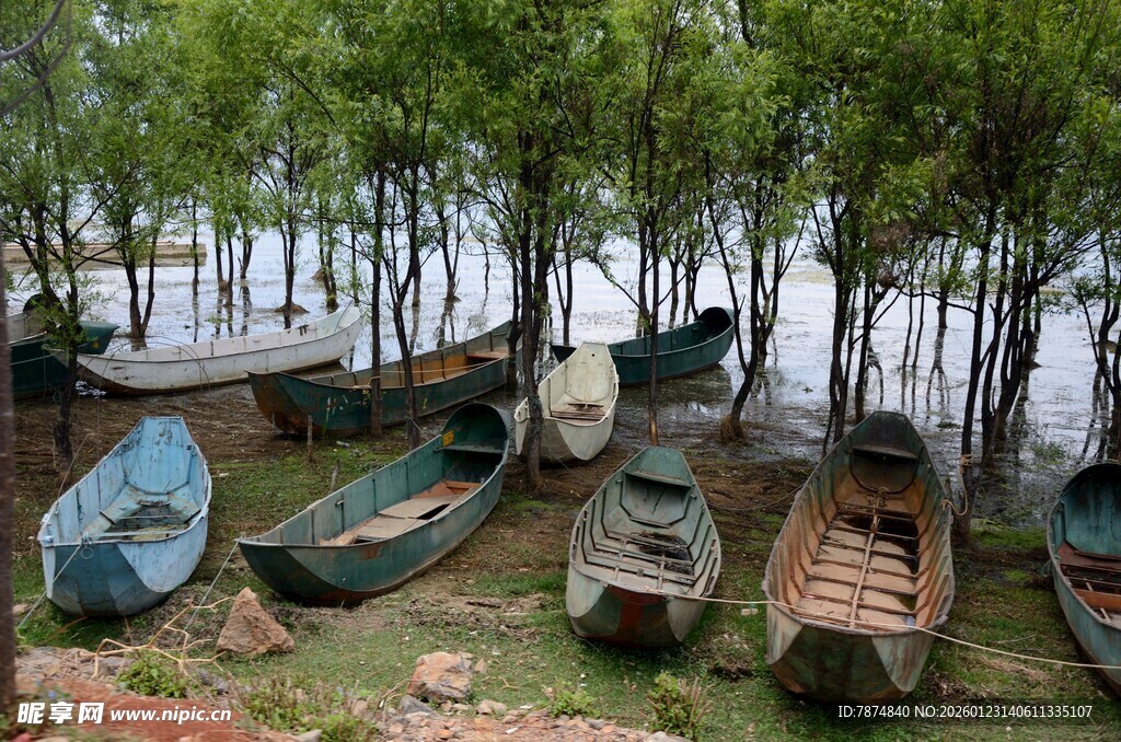 岸边树林下的停泊小船
