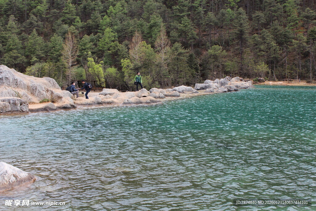 清澈湖畔的自然美景