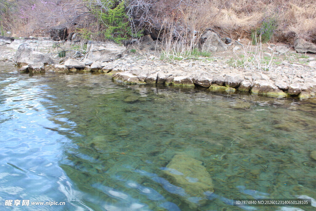 清澈水边的自然景致