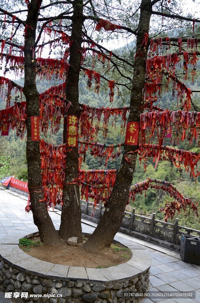 祈福树挂满祈愿红绸