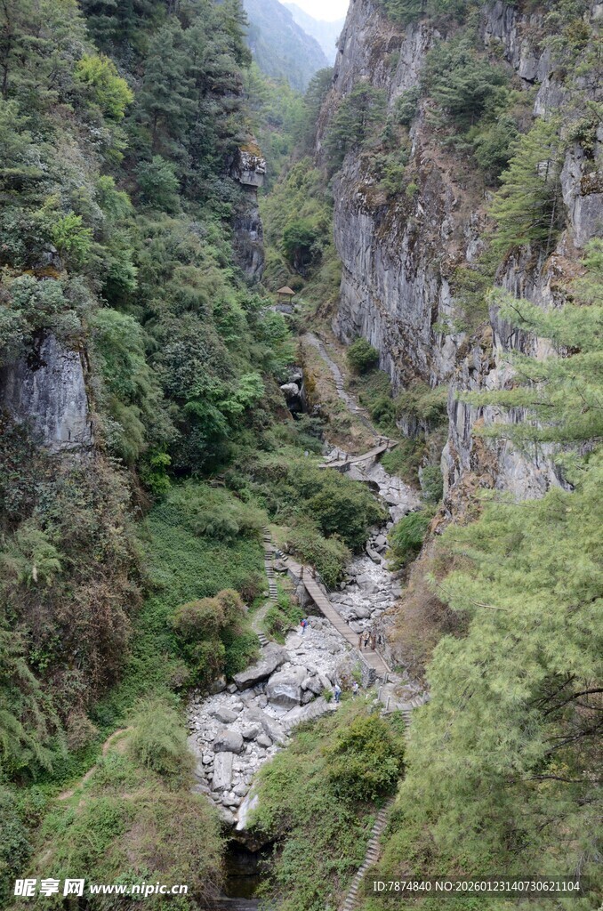 山间溪流穿于葱郁峡谷