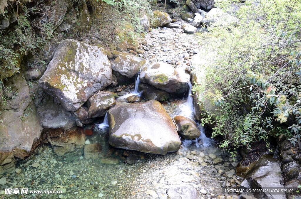 山间溪流潺潺 石畔绿意浓