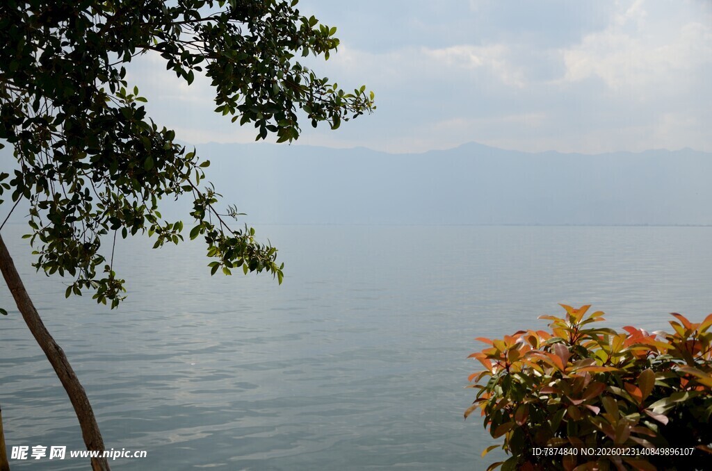 湖畔树影 静美湖景风光