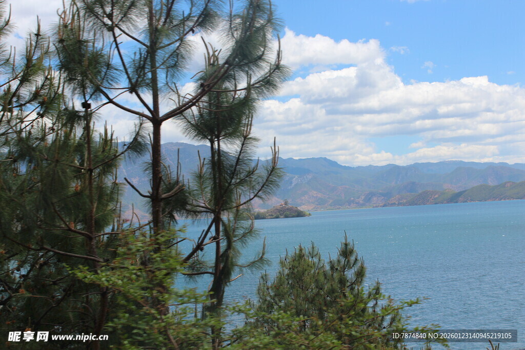湖畔松景 蓝天碧水相映
