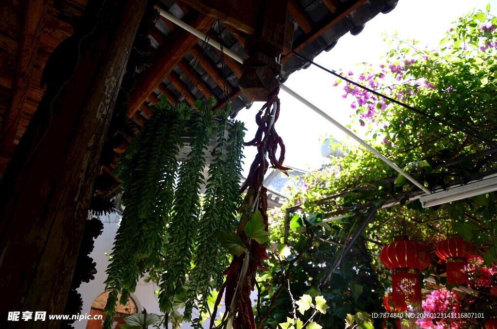 庭院绿植缠绕木质结构