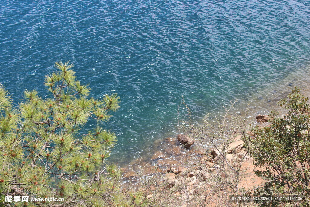 湖畔绿树与波光粼粼水面