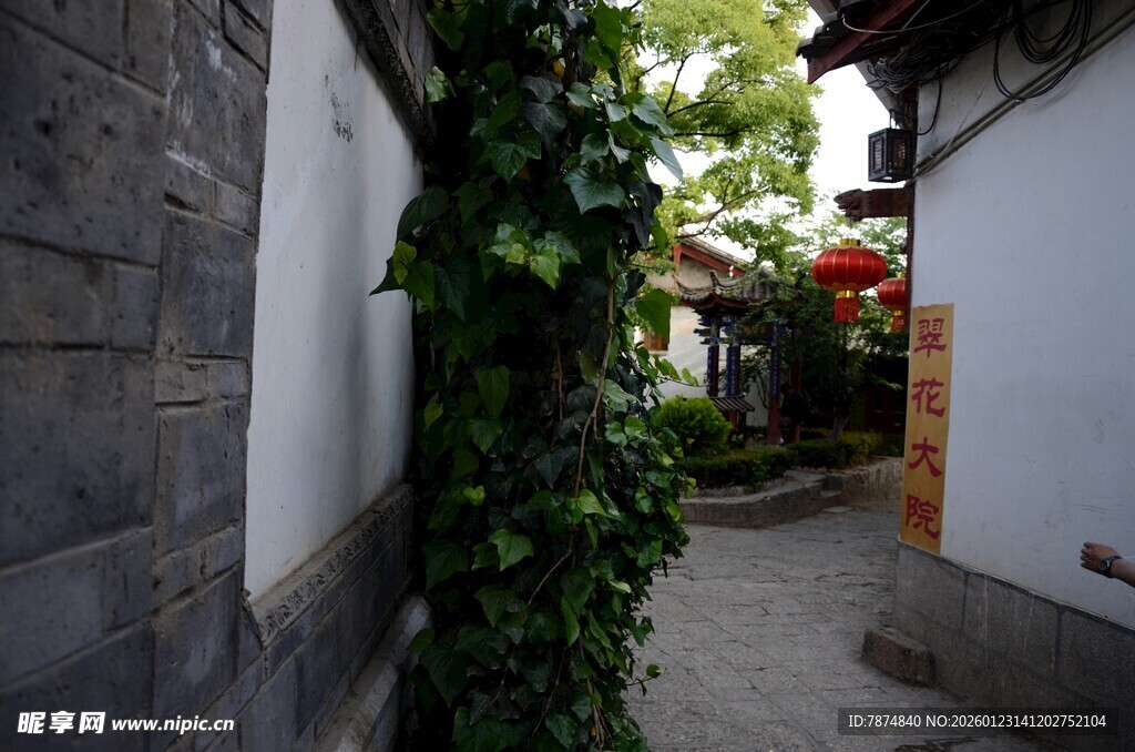 古巷藤蔓缠绕的幽静景致