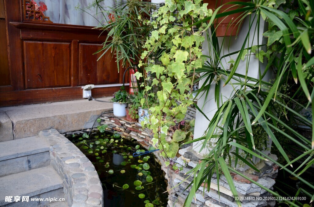 庭院绿植水景小景