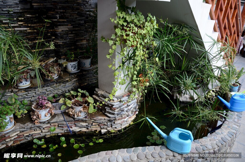 庭院小景 绿植与水景相映