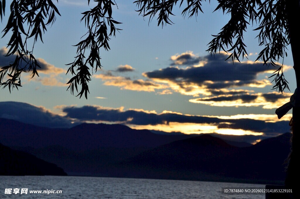 湖畔垂柳映晚霞美景