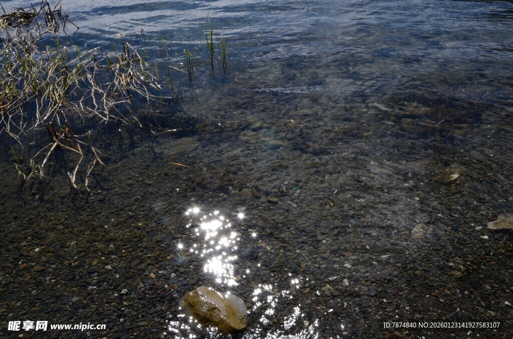 清澈水底的石块与水草