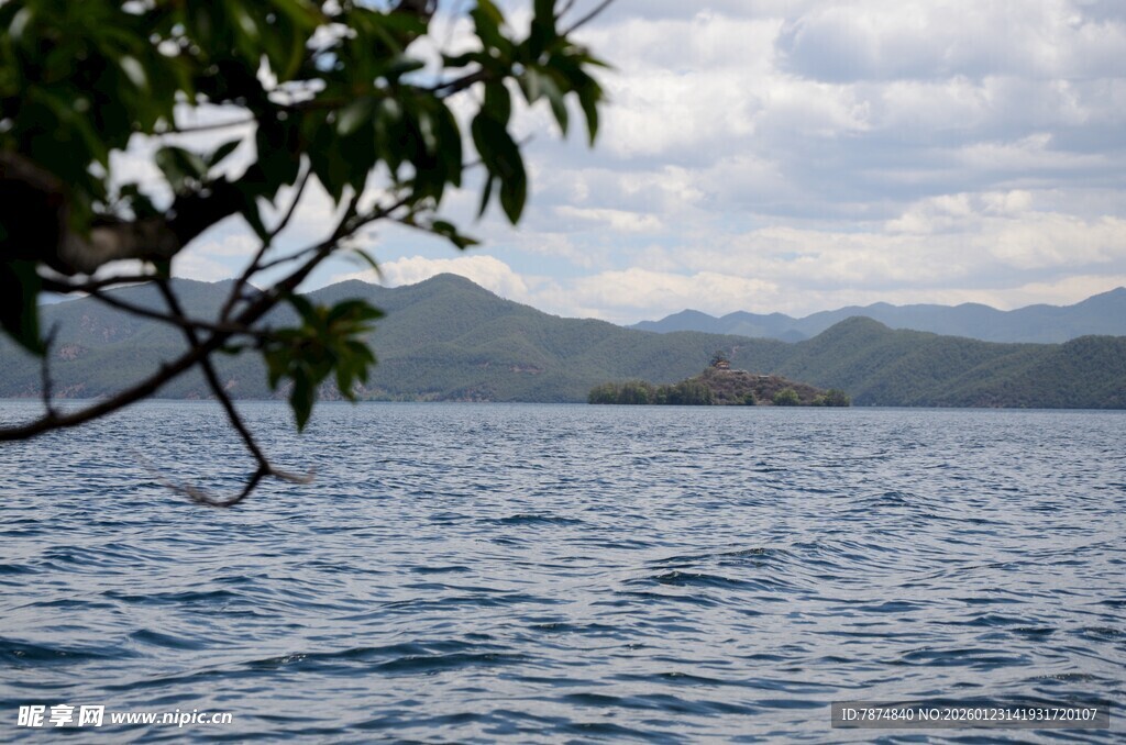 湖畔树枝与远山湖水景色