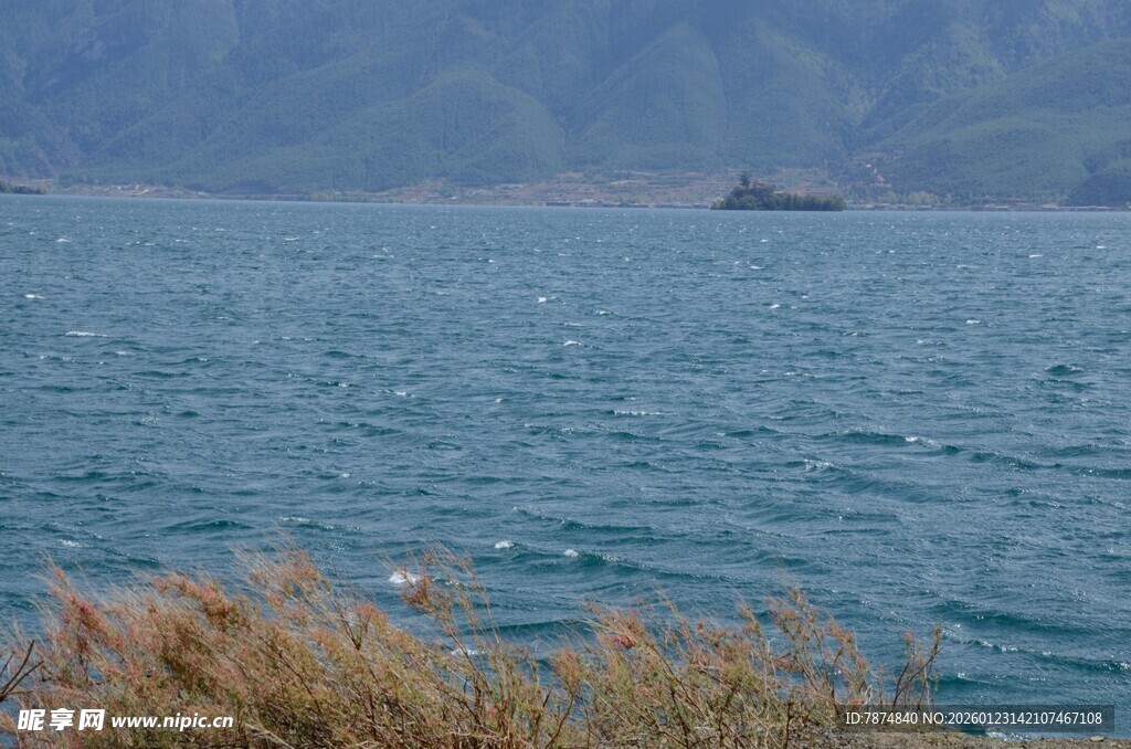 湖畔风光 碧波与岸草相映