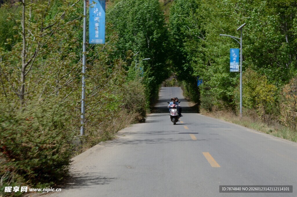 林间公路上的摩托车行驶