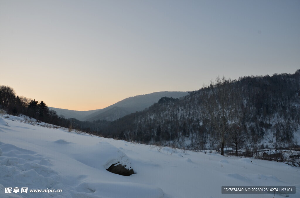 冬日雪覆山林美景