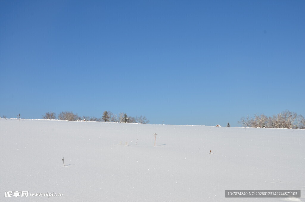 冬日雪野蓝天美景