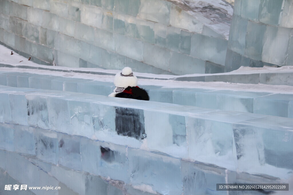 冰面企鹅
