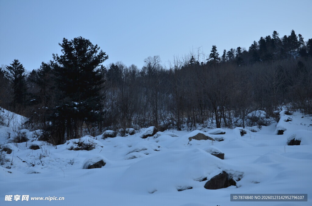冬日雪景中的山林风光