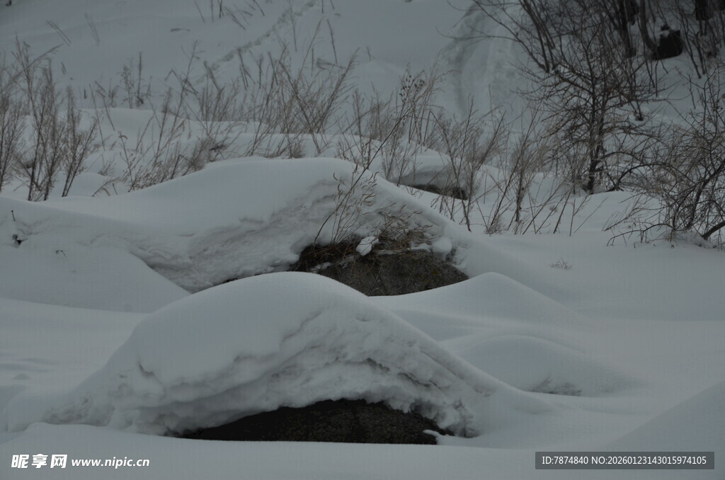 雪覆大地的静谧冬日景象