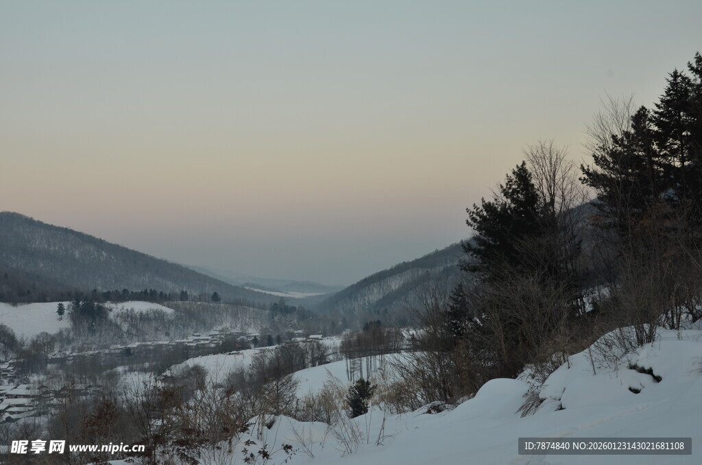 冬日雪覆山林美景