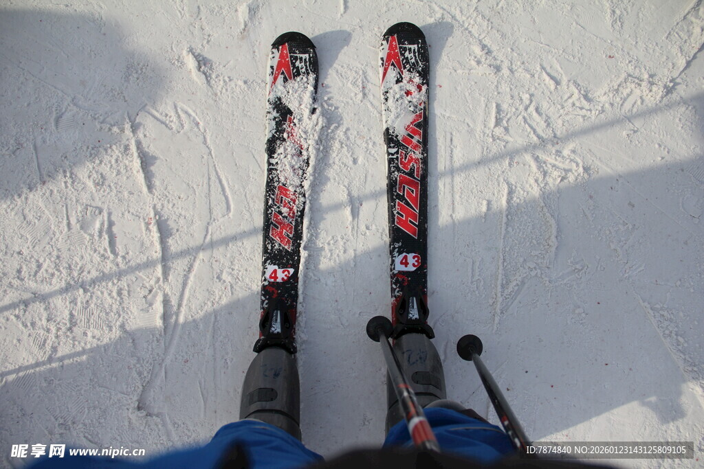 雪地中的双板滑雪装备