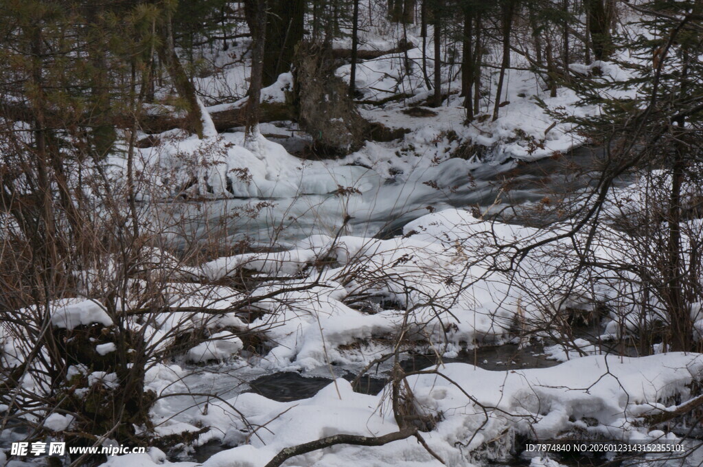 冬日雪覆林间小溪景象