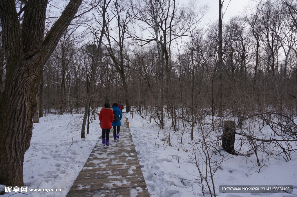 冬日林间漫步的人群