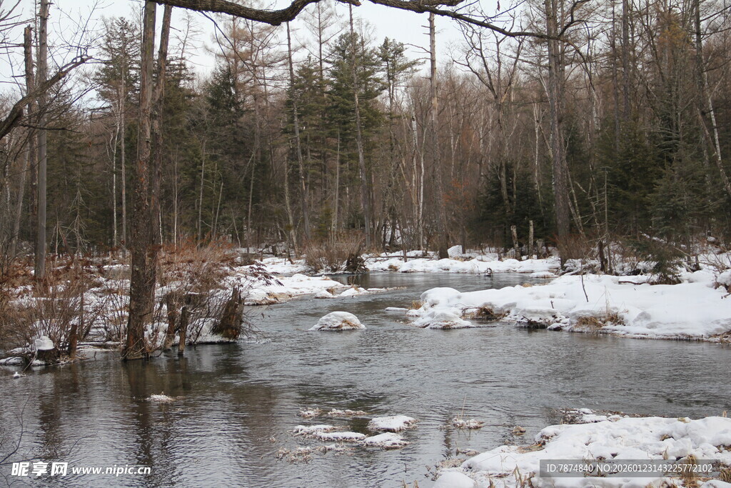 冬日林间溪流雪景