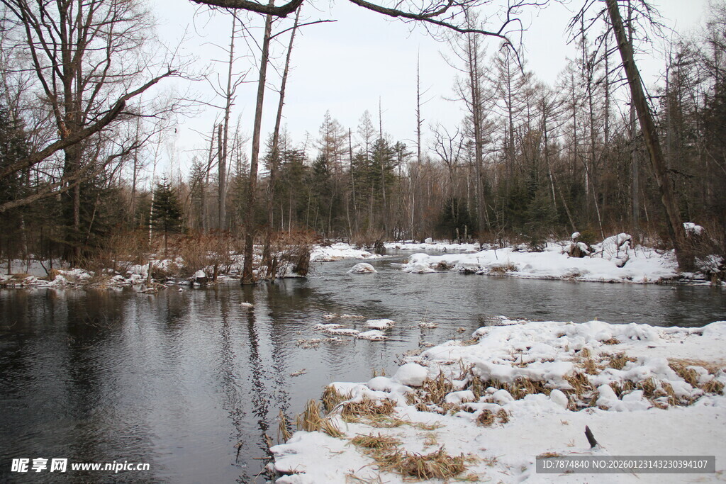 冬日河畔雪景