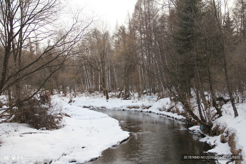 冬日雪覆溪流边树林