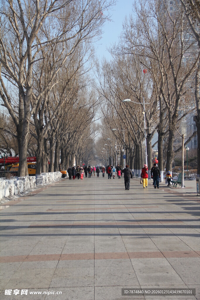 冬日林荫步道行人漫步