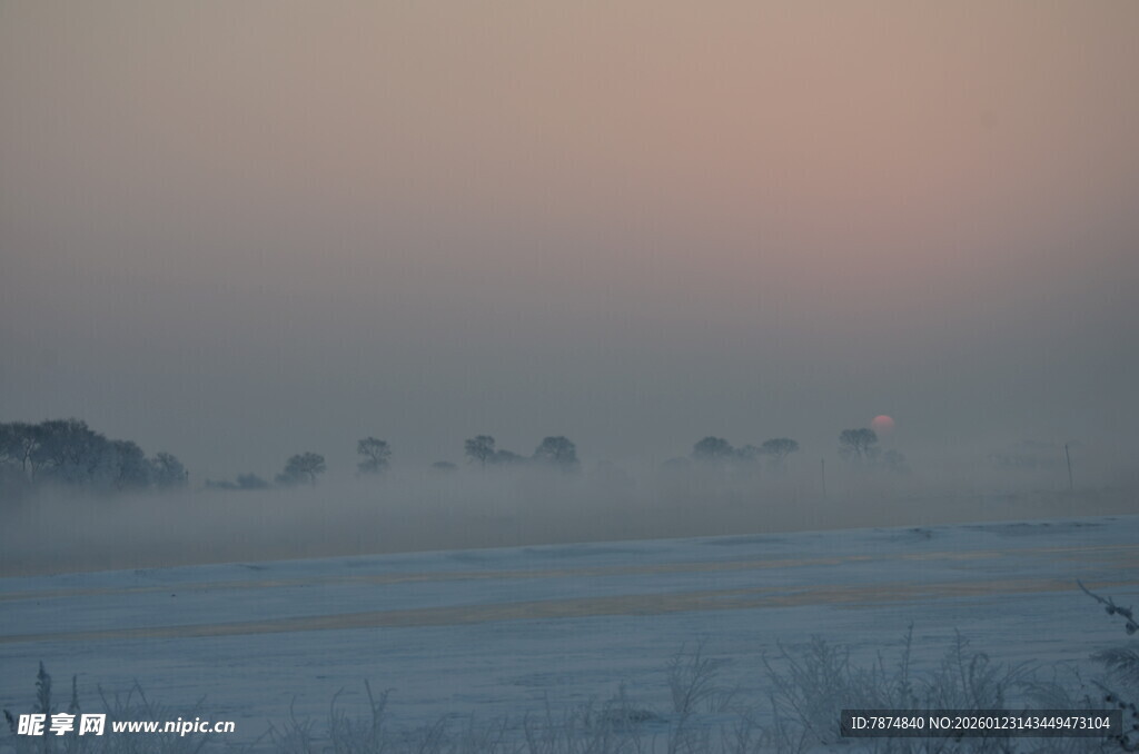 晨雾中的原野朦胧美景