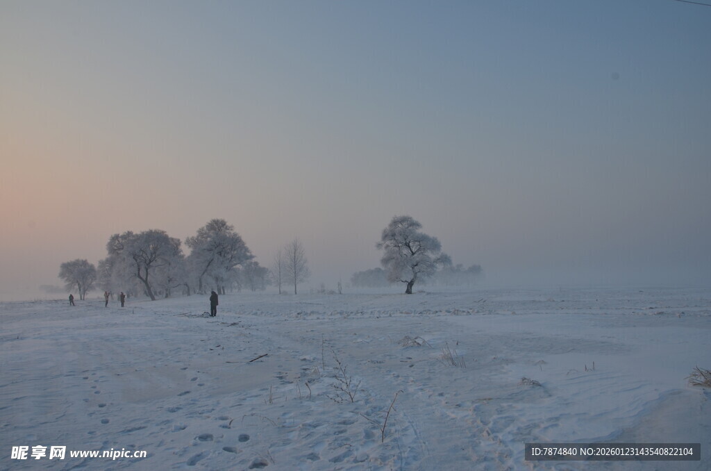 雪地中孤独的行者与树木