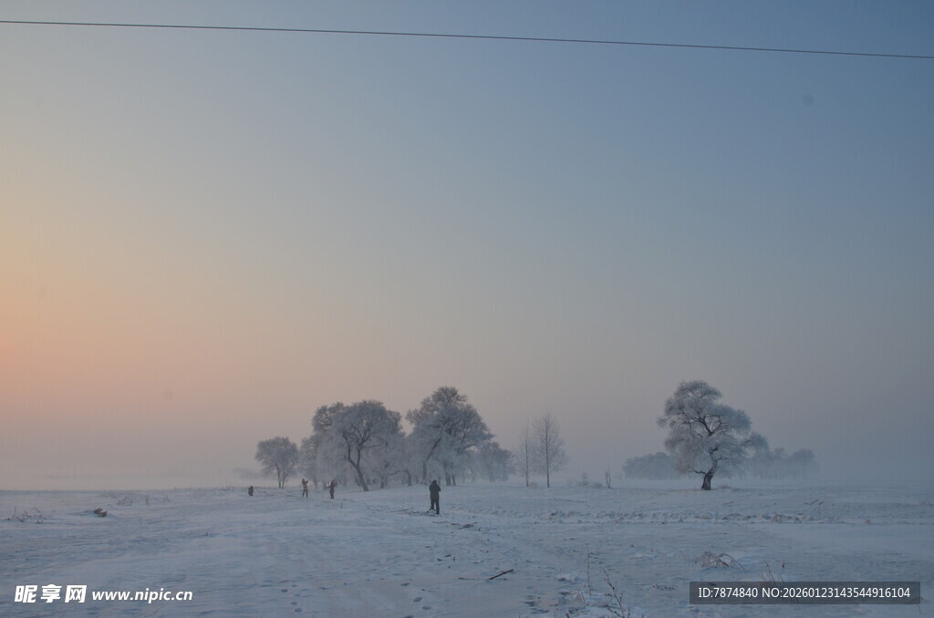冬日雪野晨光中的树木