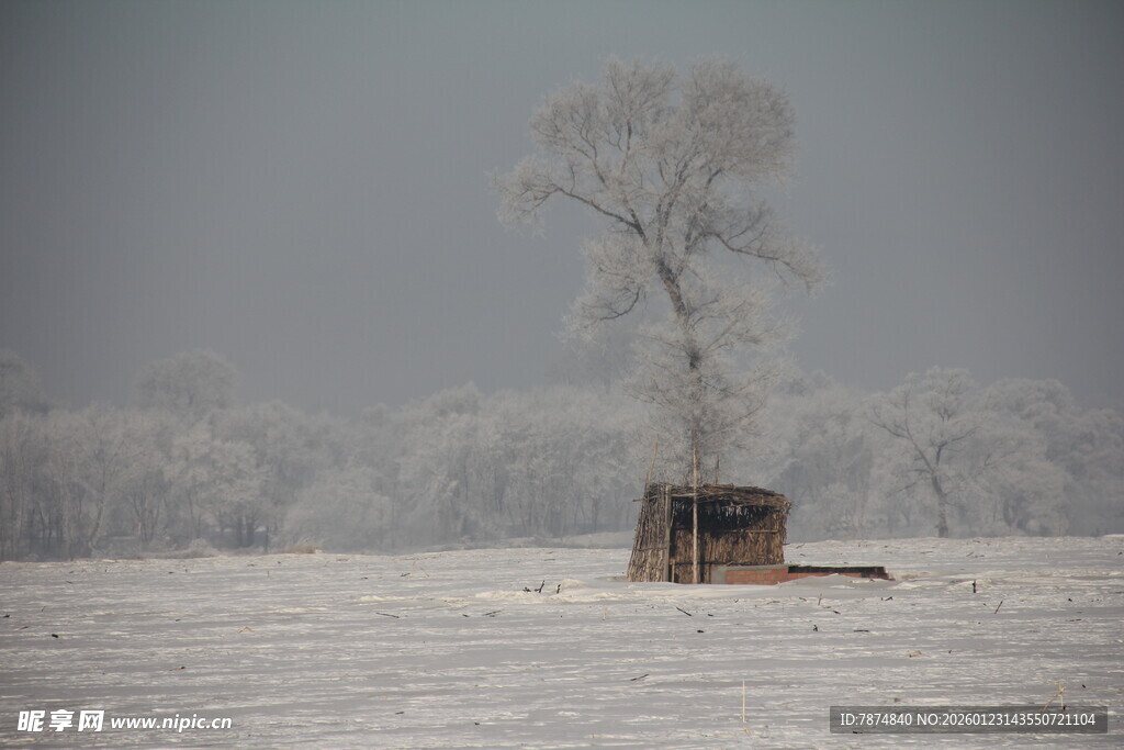 雪野孤树旁的小屋