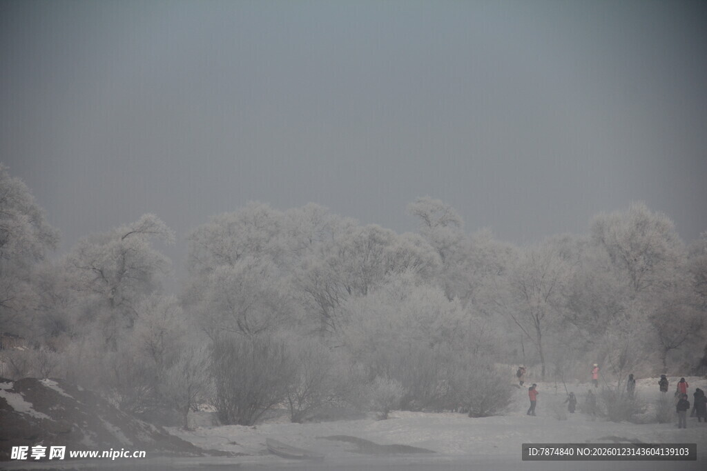 冬日雾凇雪景图
