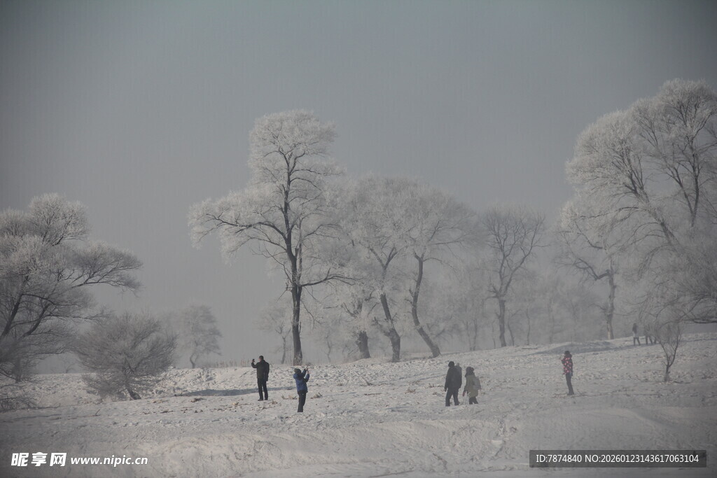 冬日雾凇下的漫步场景